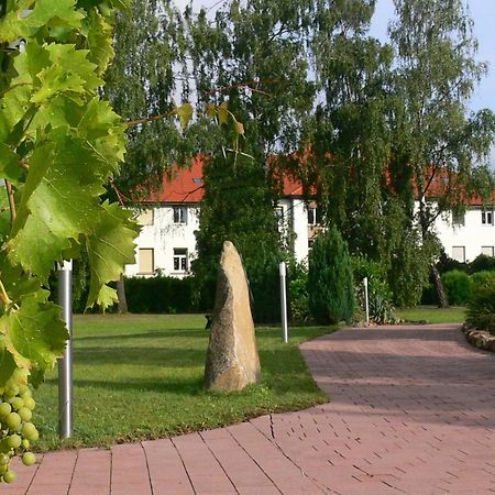 Christliche Gaestehaeuser Weinstrasse Нойштадт-ан-дер-Вайнштрасе Экстерьер фото